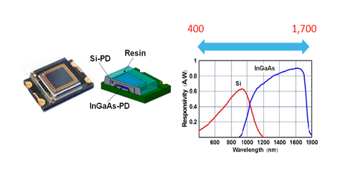 Cross section of 2-tone PD (two-tone photodiode) and glucose and hemoglobin wavelength range