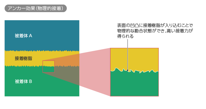 アンカー効果（物理的接着）