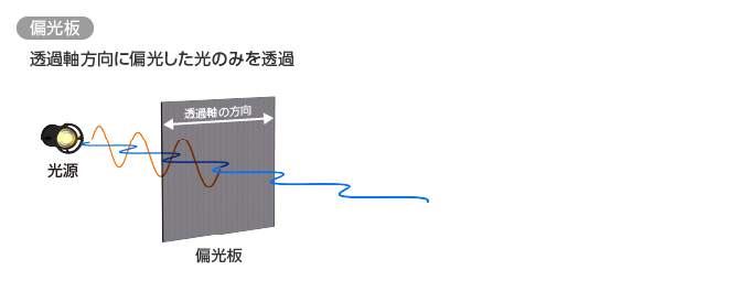 無機偏光板／偏光板（透過軸方向に偏光した光のみを透過）