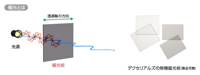 偏光とは（偏光板の仕組み）