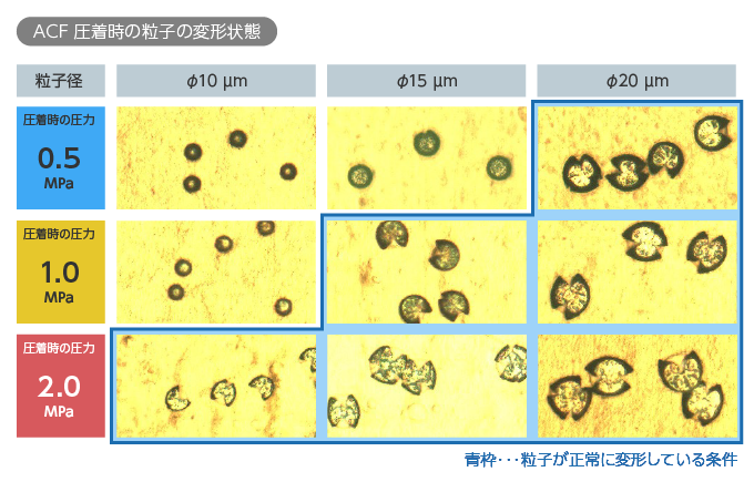 異方性導電フィルム（ACF）圧着時の粒子の変形状態