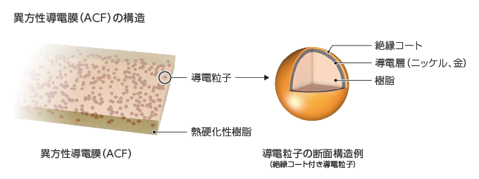 異方性導電膜（ACF）の構造