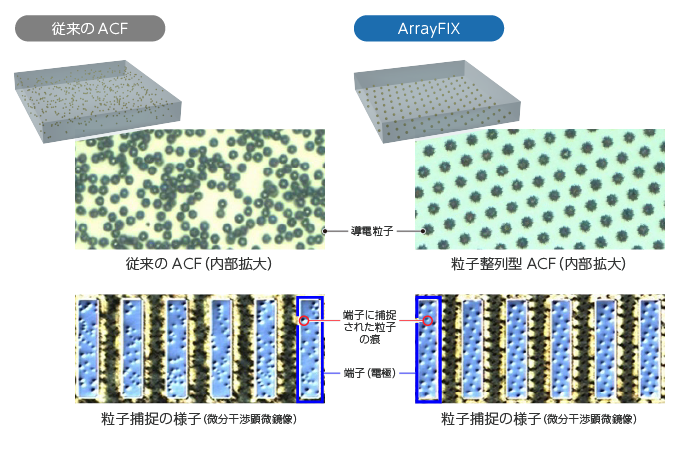 従来型のACFとArrayFIXの内部の粒子分散の様子