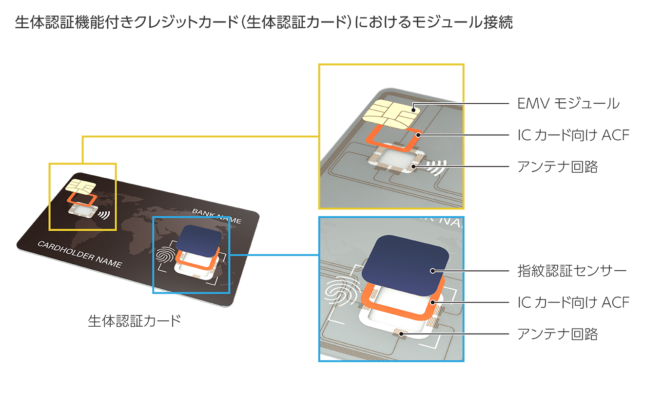 生体認証機能付きクレジットカード（生体認証カード）におけるモジュール接続