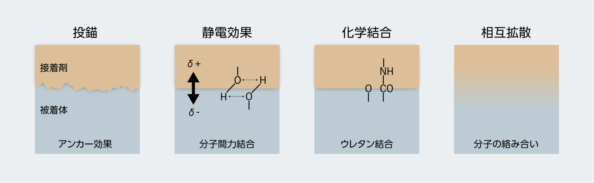 接着剤と被着体の接着メカニズムの一例