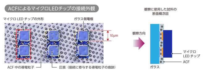 ACFによるマイクロLEDチップの接続外観