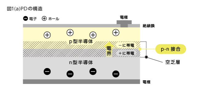 フォトダイオードの構造