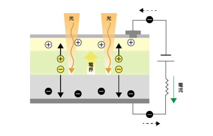 pn型フォトダイオードの動作原理
