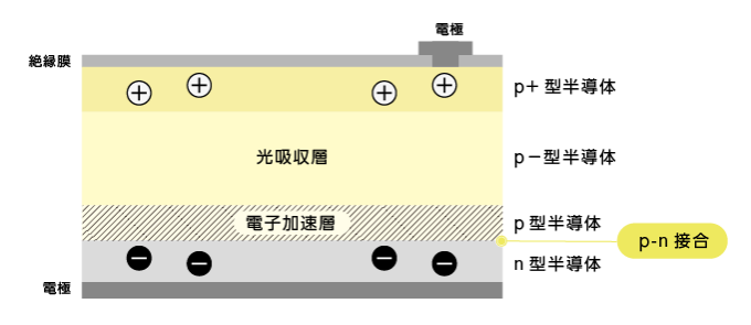 アバランシェフォトダイオード（APD）の構造